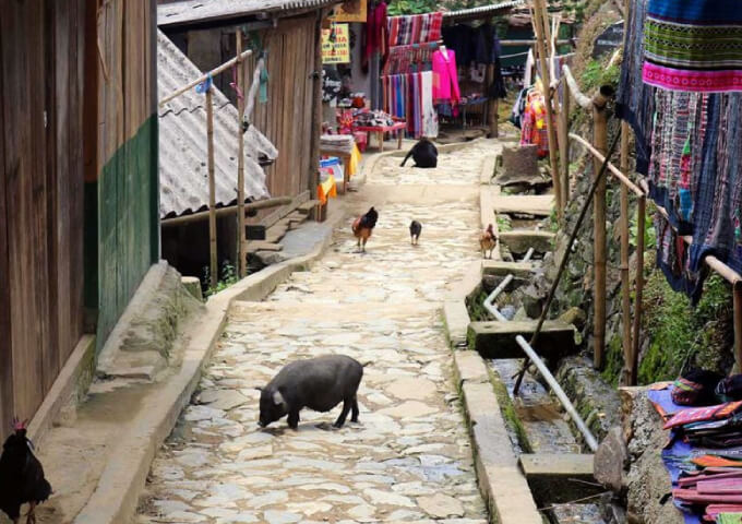 allay-of-cat-cat-village